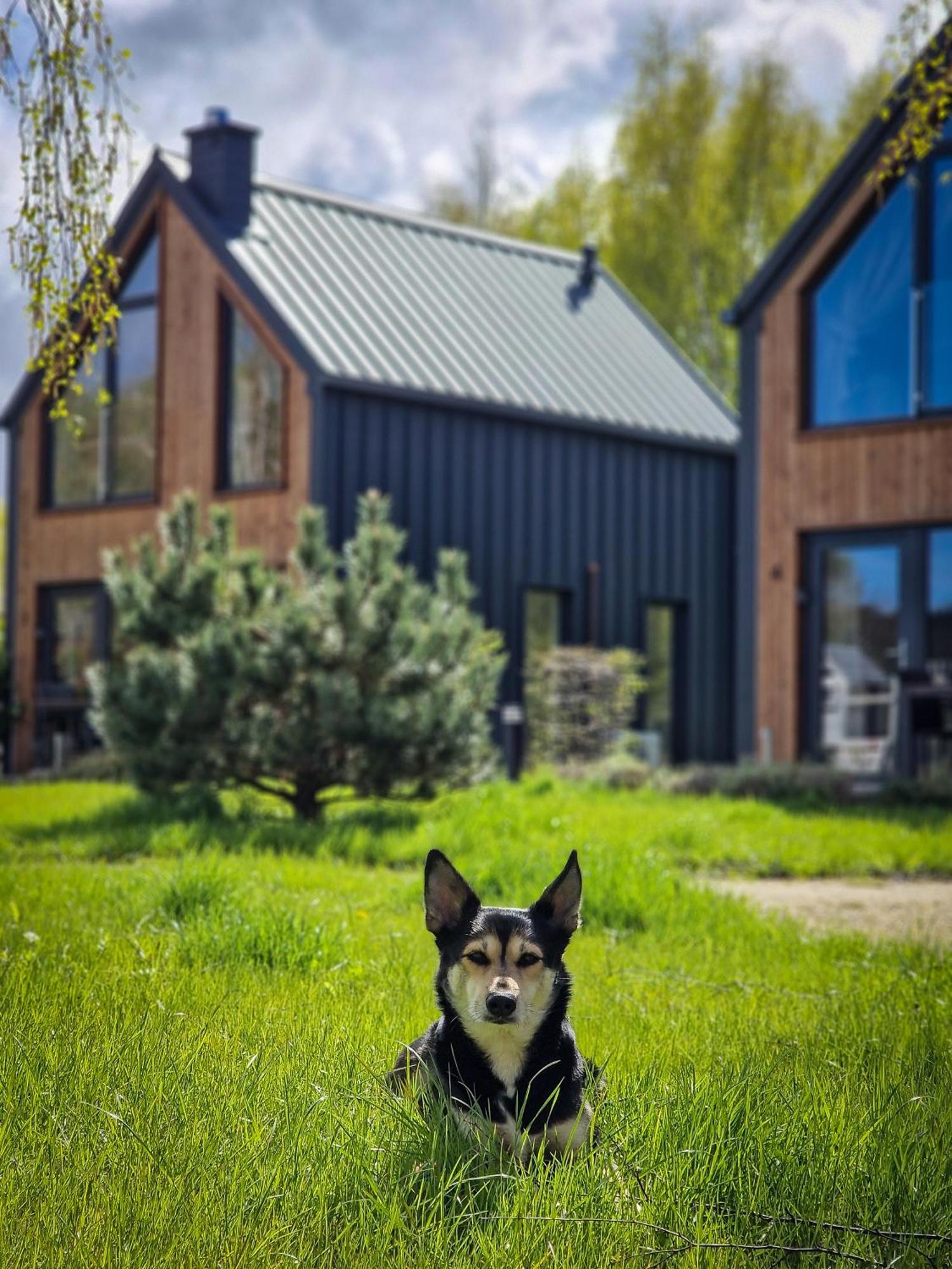 Domki W Naturze Lubiatowo  Exteriér fotografie